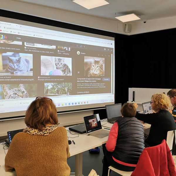 Atelier de conseil numérique Pays d'Opale