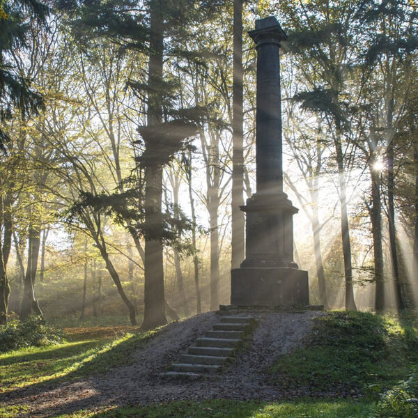 Forêt domaniale de Guînes Pays d'Opale