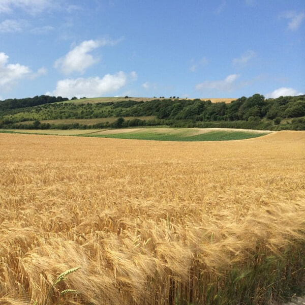 Vallons du Pays Licquois Pays d'Opale