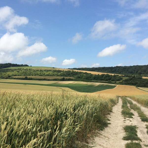 The Valleys of the Pays Licquois Pays d'Opale