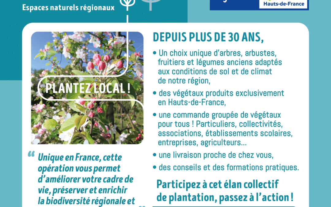 Plantons le décor